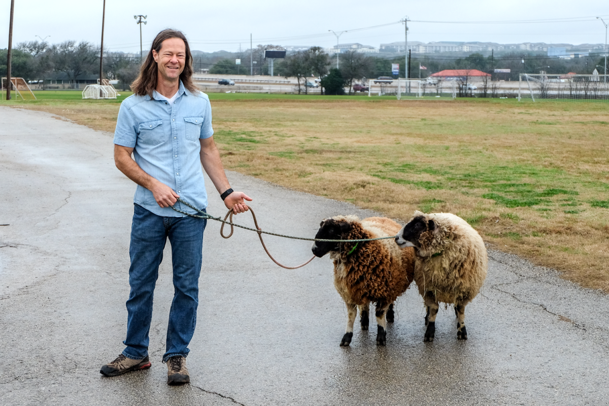 Chris Brooks with two small sheep on leashes in a school parking lot.