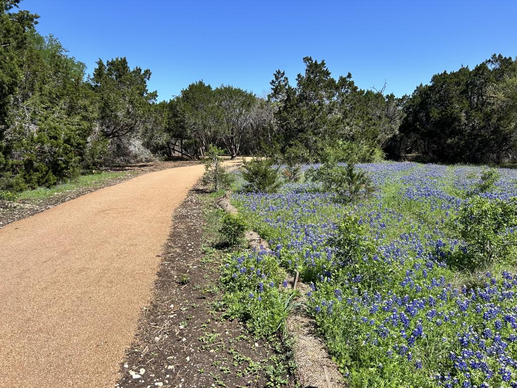 photo of trail and wildflowers